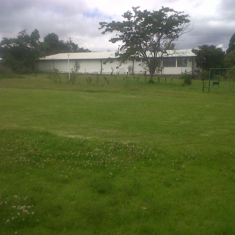 Terreno con galpón industrial en Tumbaco, vista general del predio