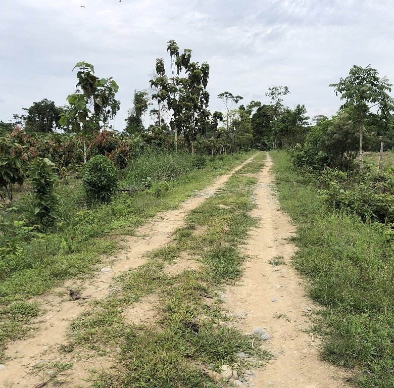 Hacienda en venta Tiwintza, Morona Santiago 310 ha
