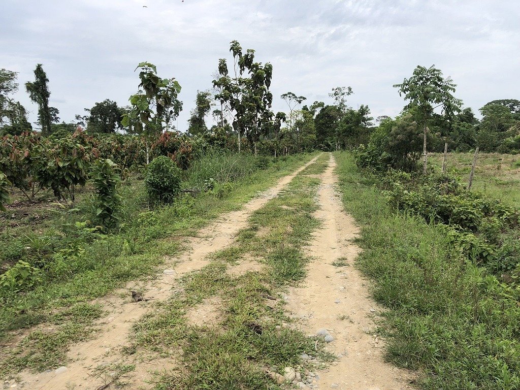 Hacienda en venta Tiwintza, Morona Santiago 310 ha