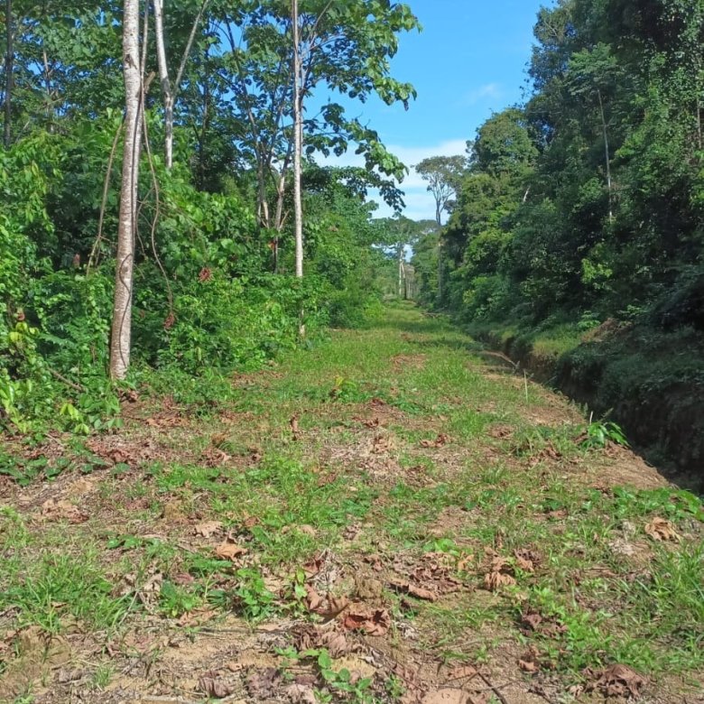 Hacienda en venta Tiwintza, Morona Santiago 310 ha