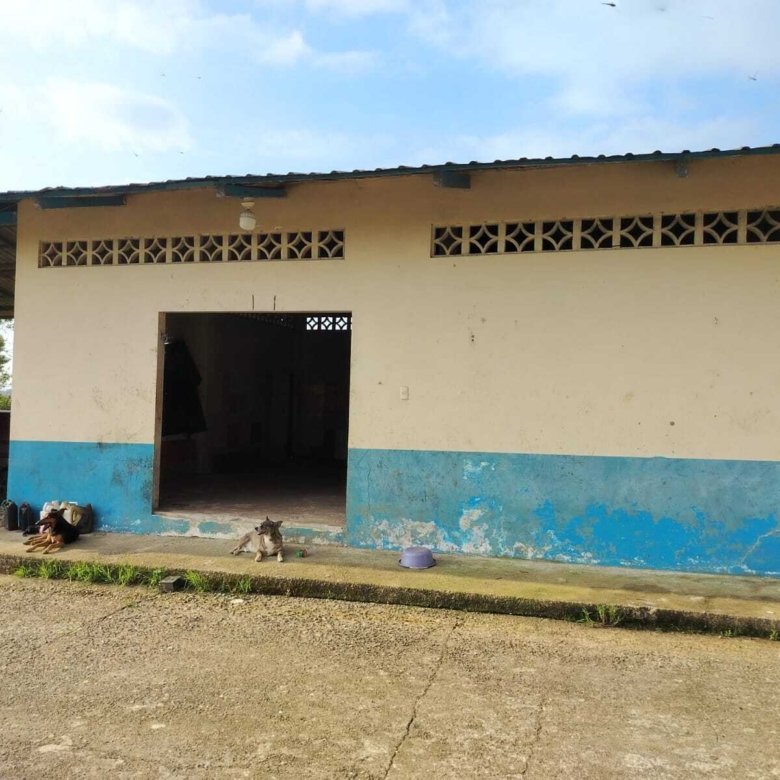 Hacienda de cacao en venta en Santa Isabel, Azuay