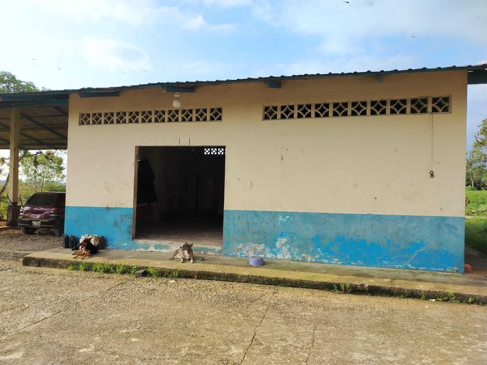 Hacienda de cacao en venta en Santa Isabel, Azuay