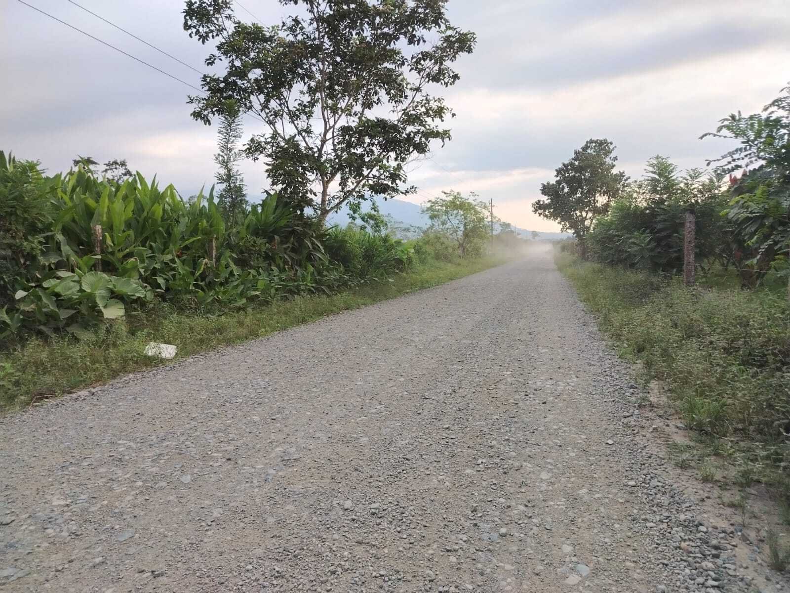 Hacienda de cacao en venta en Santa Isabel, Azuay