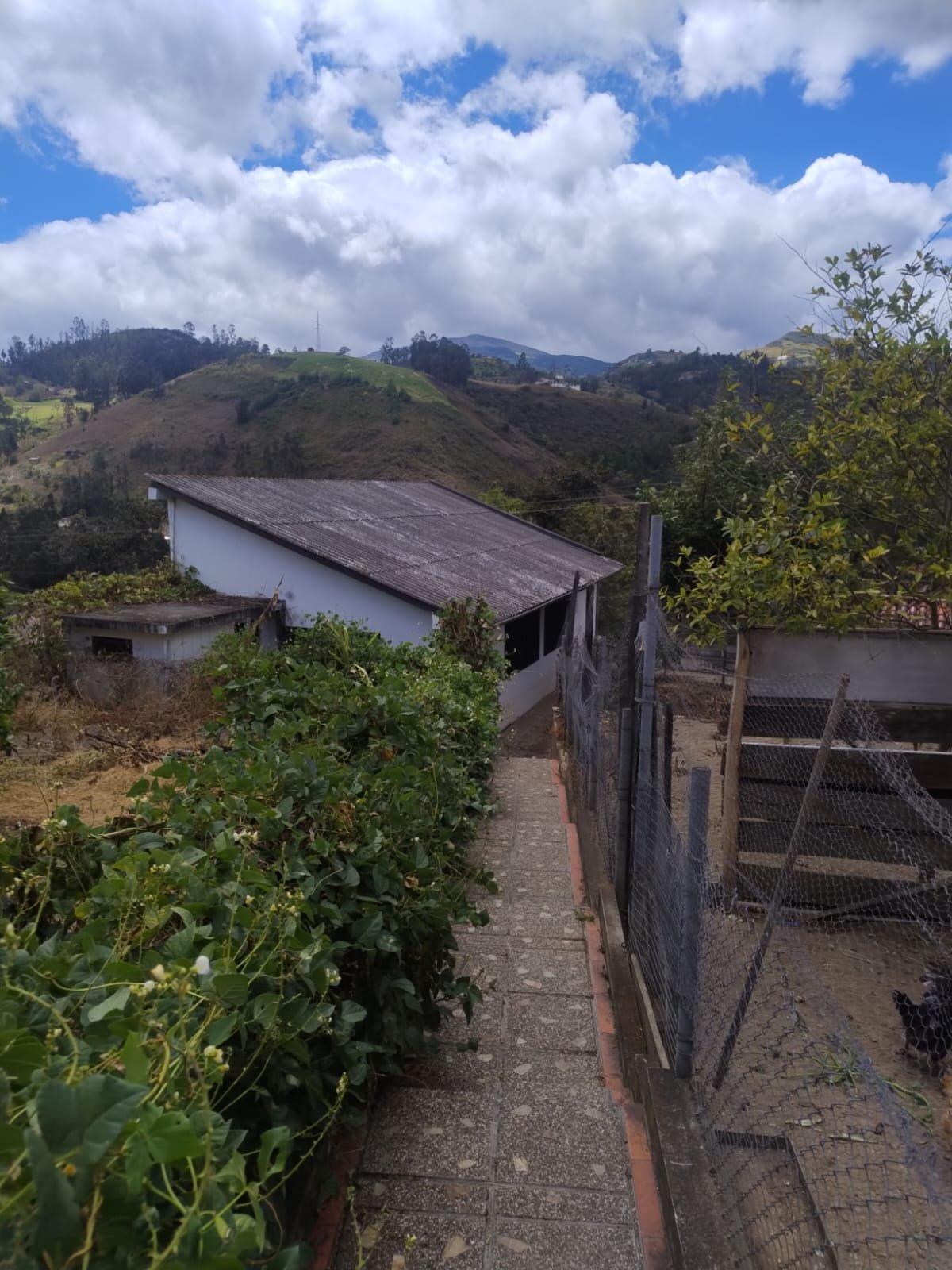 Casa Quinta en Venta en Chordeleg con 470 m² de Construcción