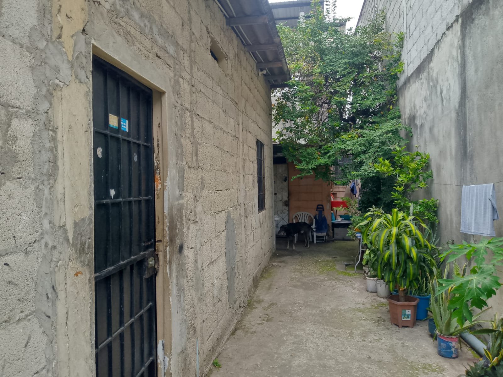 Casa con 2 departamentos independientes en Las Orquídeas, Guayaquil